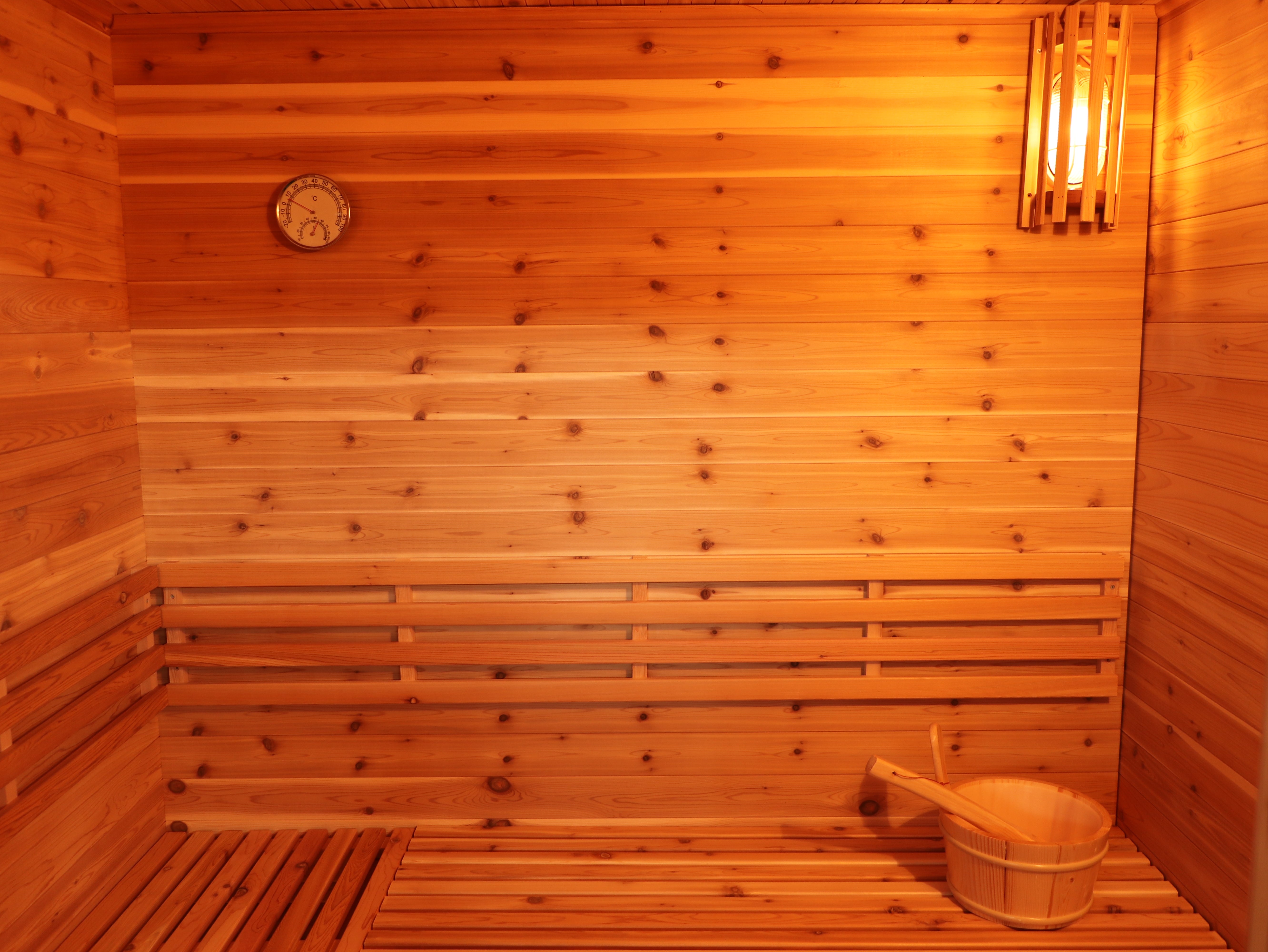SunRay Denali 4-Person Contemporary Outdoor Sauna