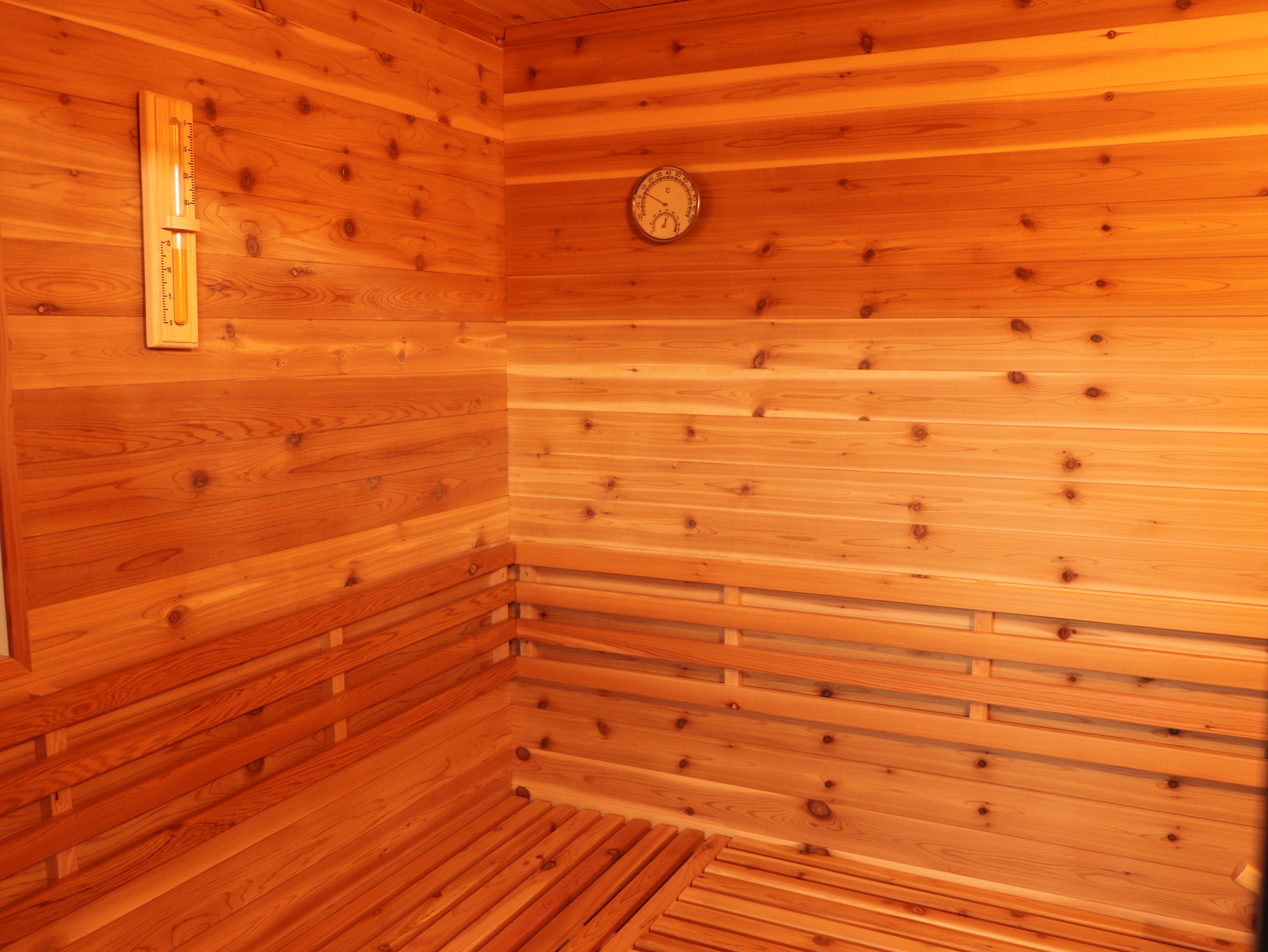 SunRay Denali 4-Person Contemporary Outdoor Sauna