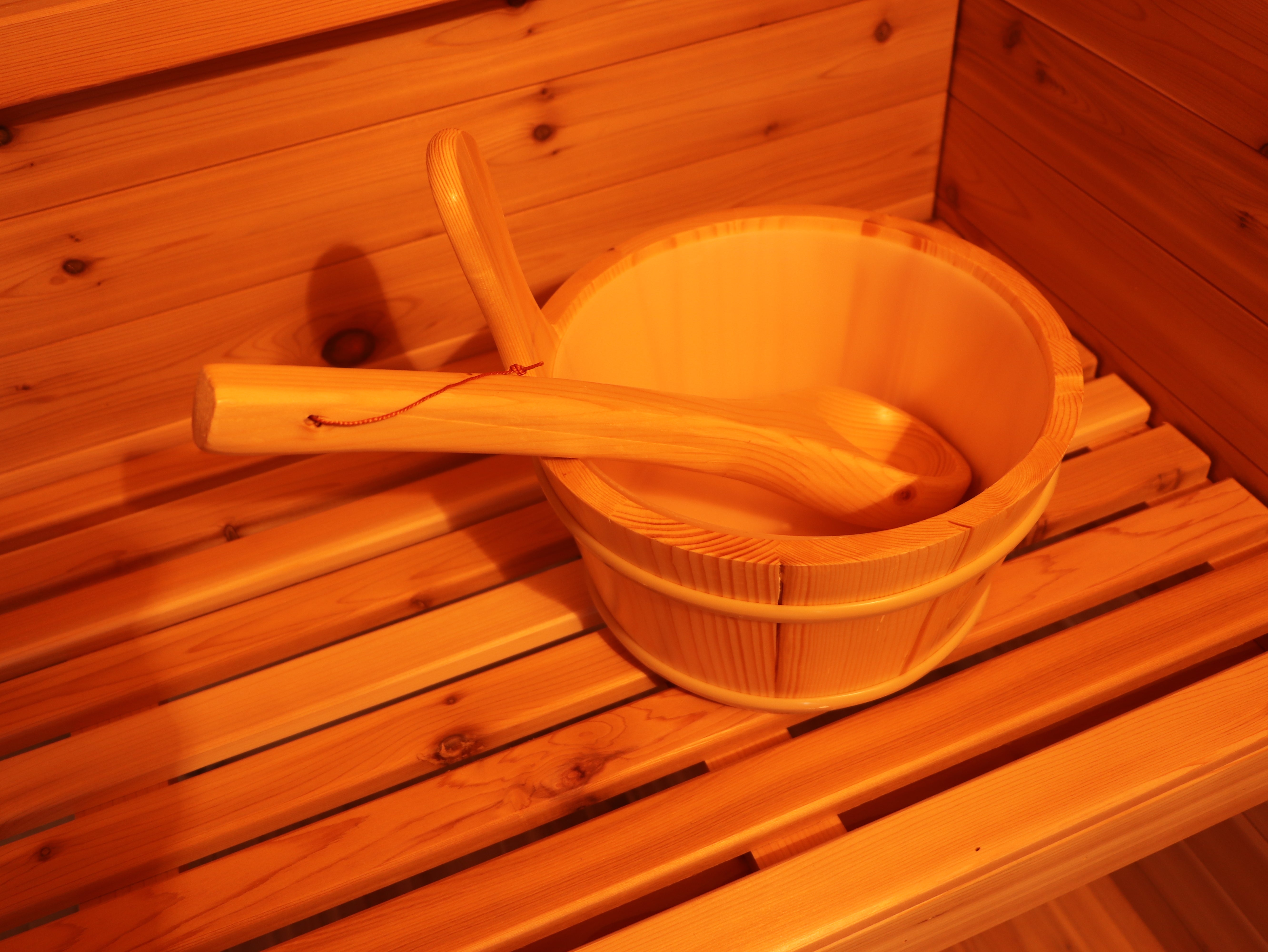 SunRay Denali 4-Person Contemporary Outdoor Sauna