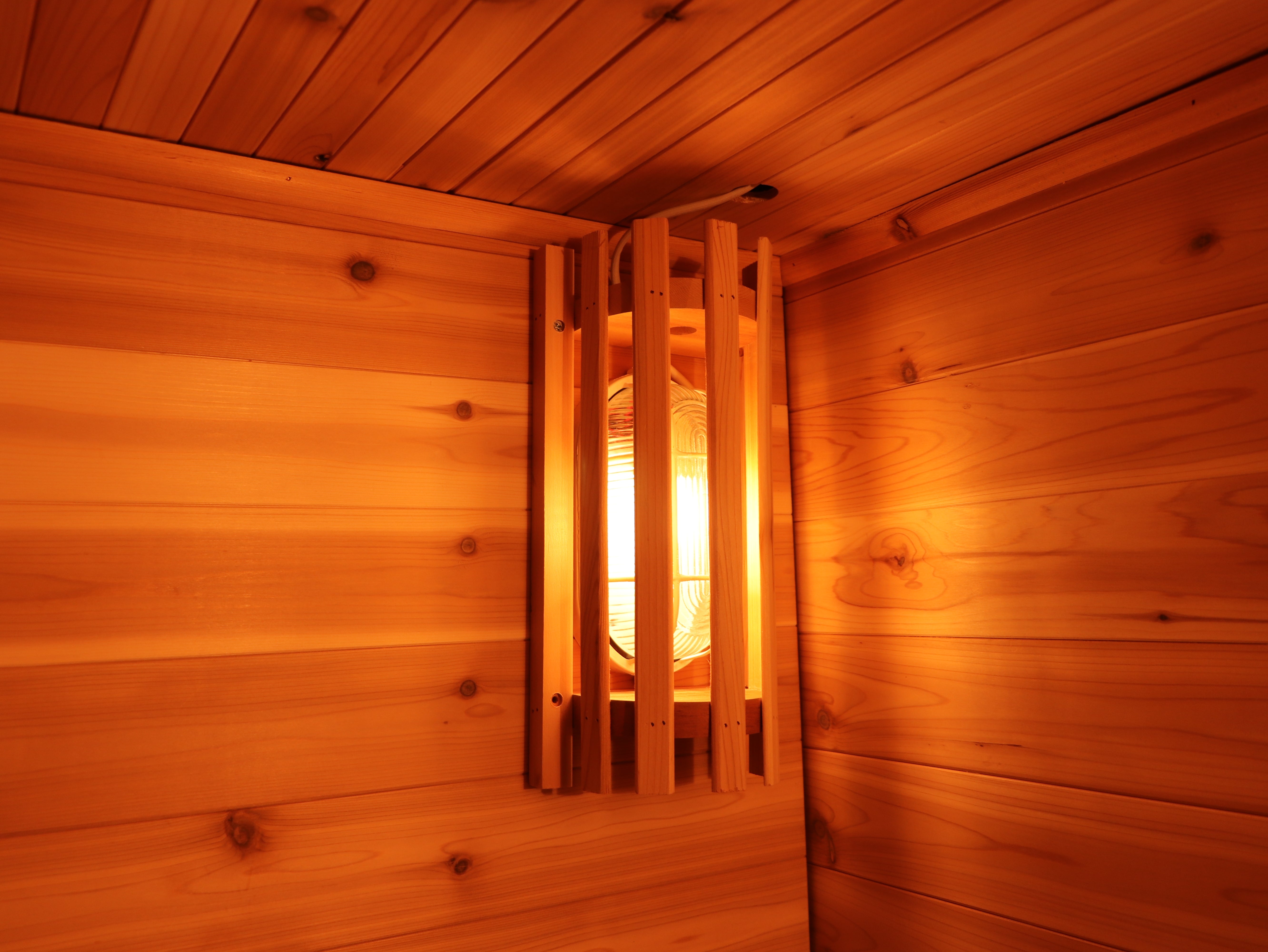 SunRay Denali 4-Person Contemporary Outdoor Sauna