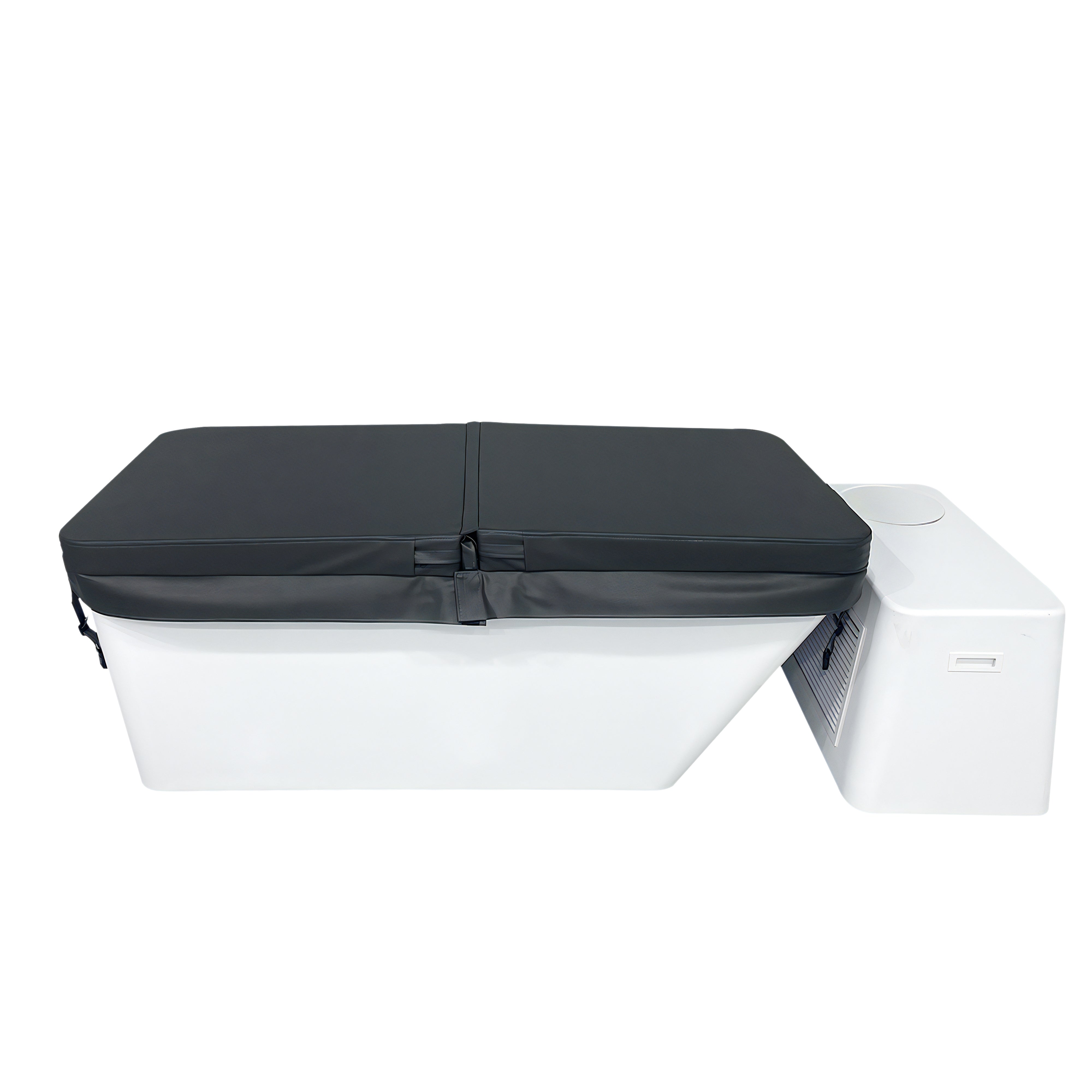 Sierra Spas Plunge Pro